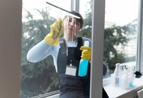 Nettoyage de vitres intérieures et extérieures à Saint-Romain-le-Noble